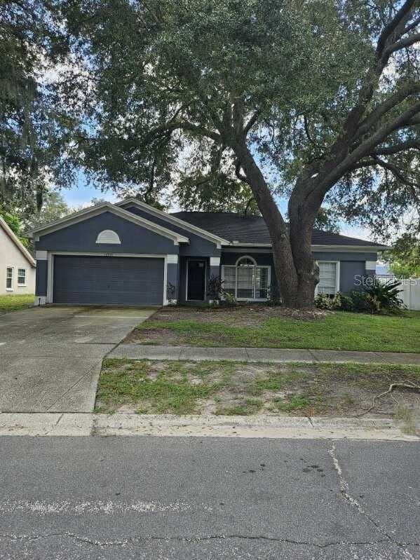 10306 EARLY MIST LANE Riverview Florida United States, for Sale, residential,  , The Mount Dora Group 