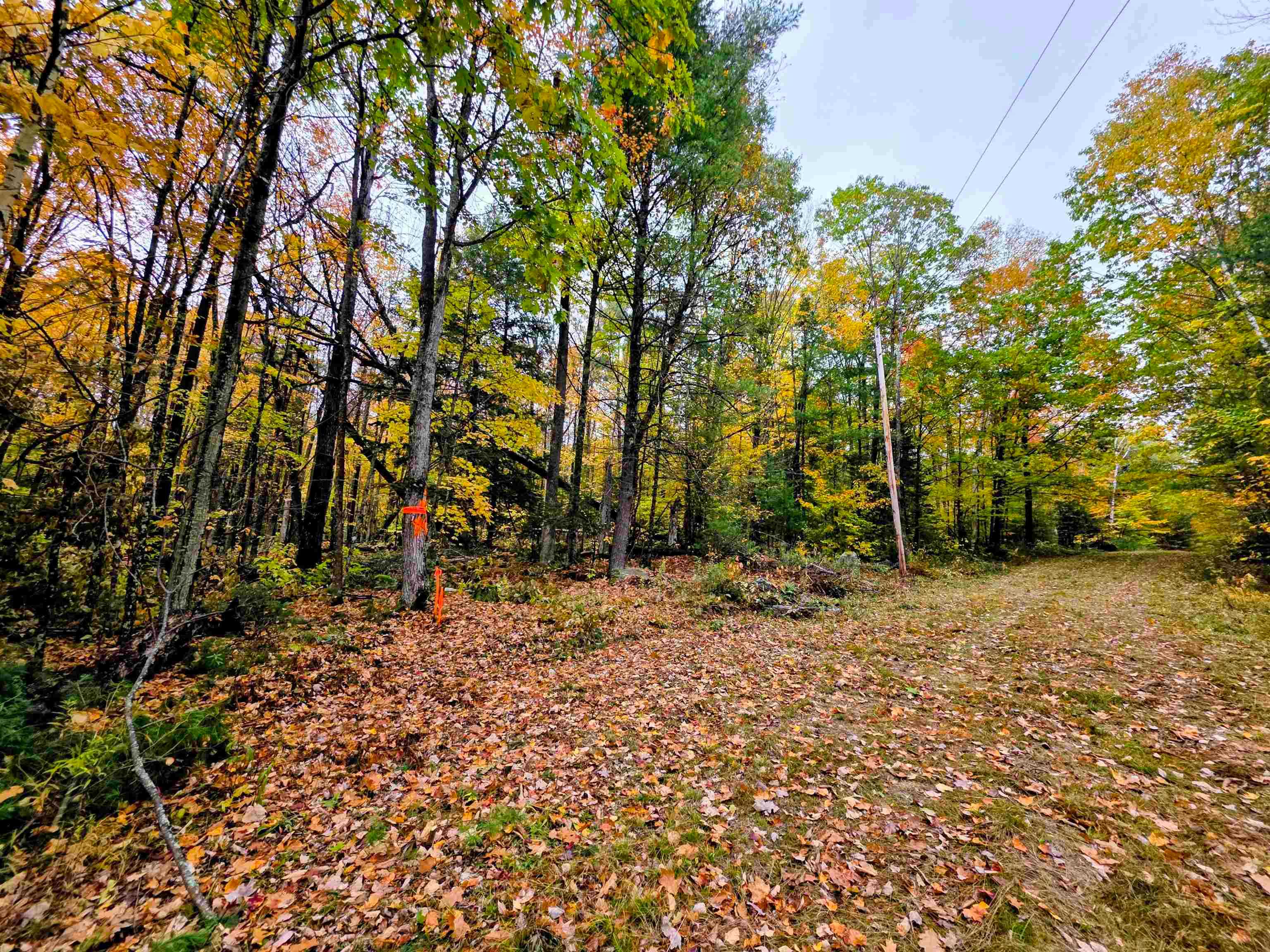 Blue Trail Bath New Hampshire United States, for Sale, commercial, Francis Duffy,  Regents New England Real Estate