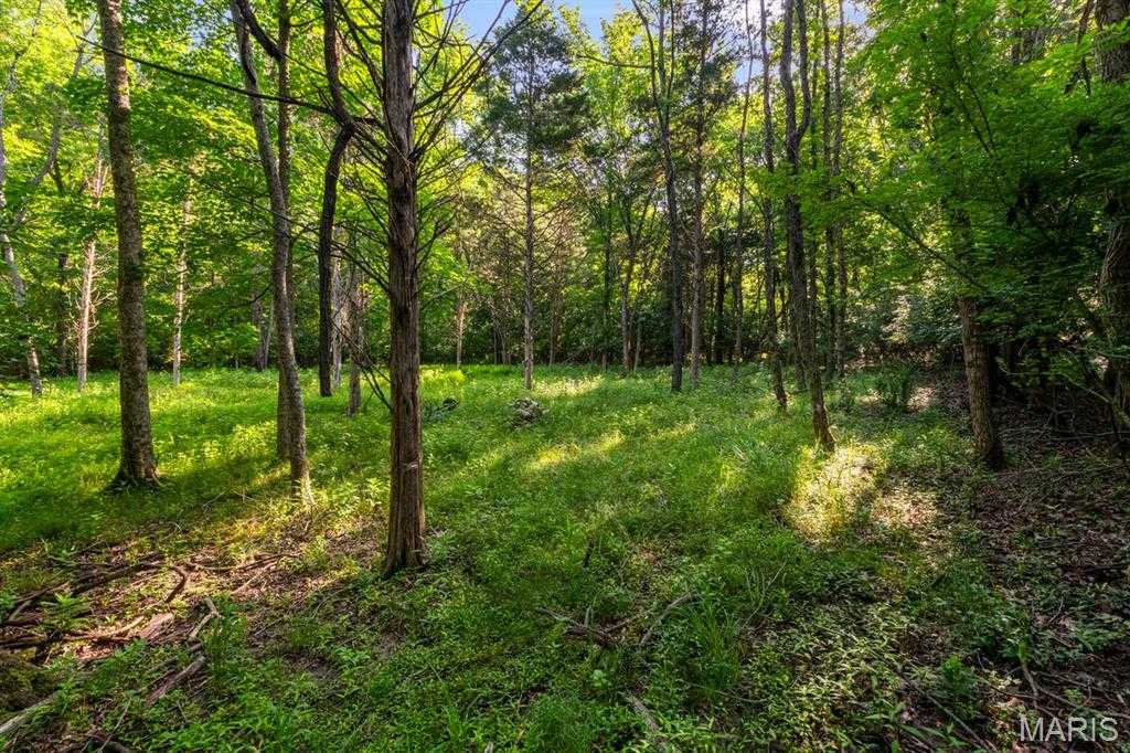 3701 Bear Tooth Lane Wildwood Missouri United States, for Sale, commercial,  , Hafley Real Estate