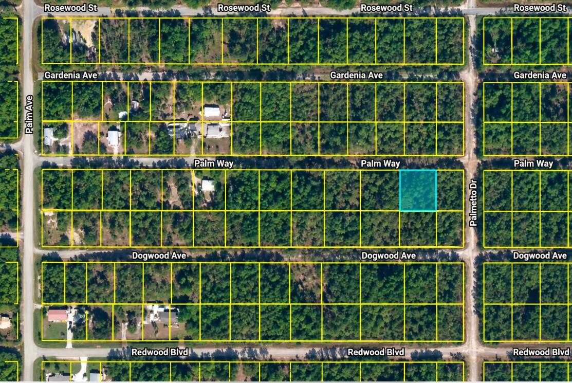 337 PALM Way  Florida United States, for Sale, commercial,  , Phoenix Realtors LLC