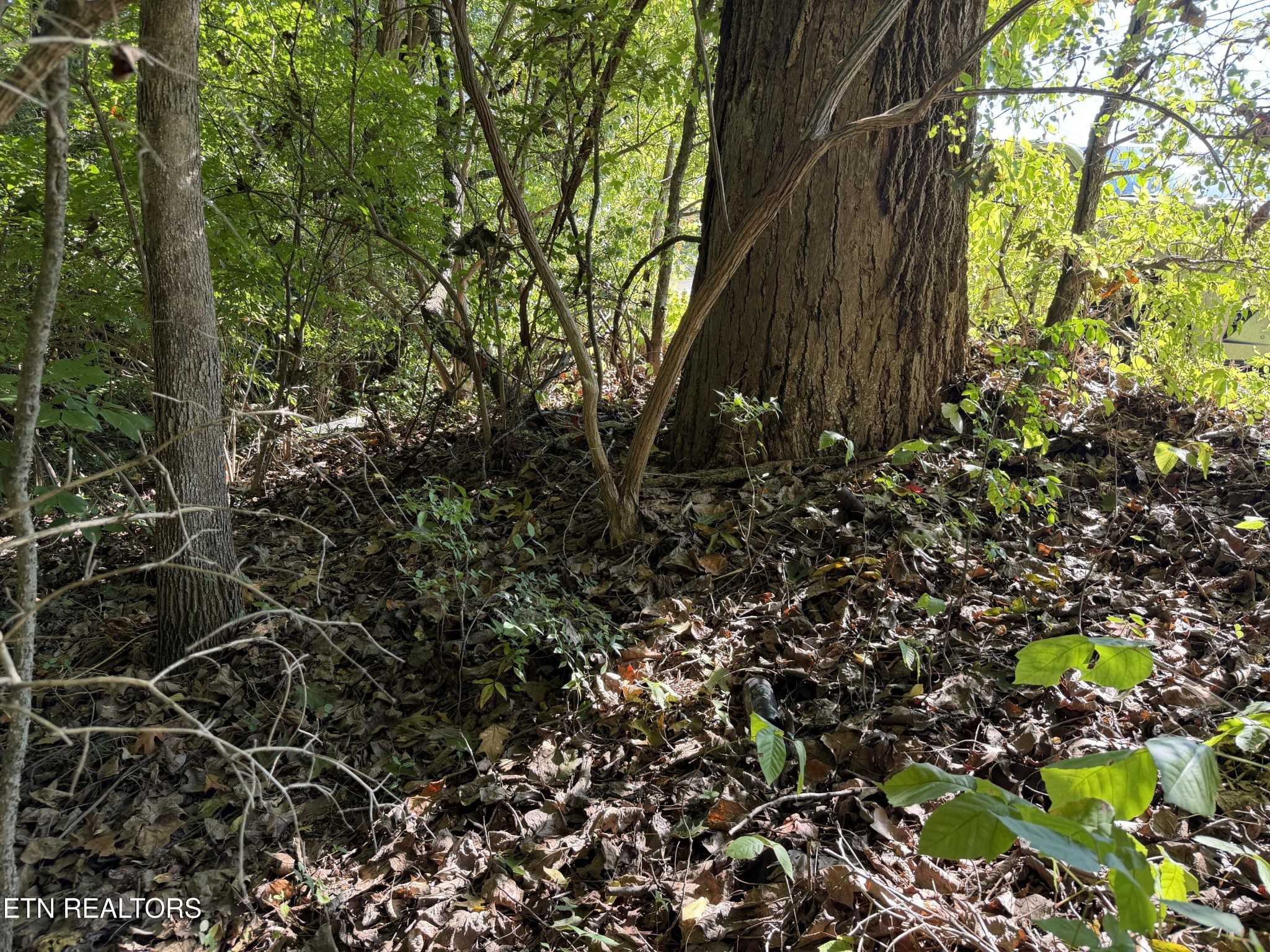 Culpepper Rd Knoxville Tennessee United States, for Sale, commercial,  , East Tennessee Land For Sale