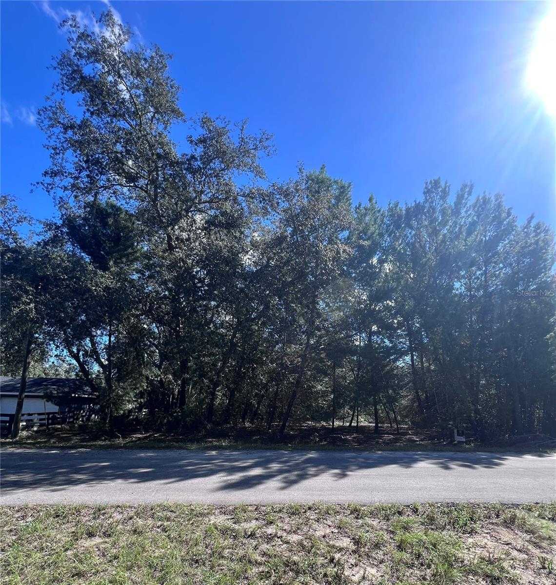 FISHER WAY TRAIL Ocklawaha Florida United States, for Sale, commercial, Jeanne Herzig-Arena, Professional Realty of Ocala