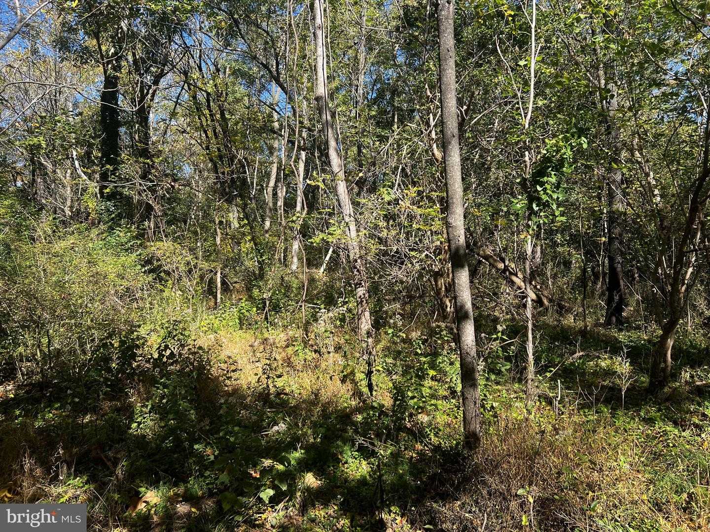 418 MOUNTAIN ROAD Dillsburg Pennsylvania United States, for Sale, commercial, Bruno Tarquinii, Fairfax Realty Premier