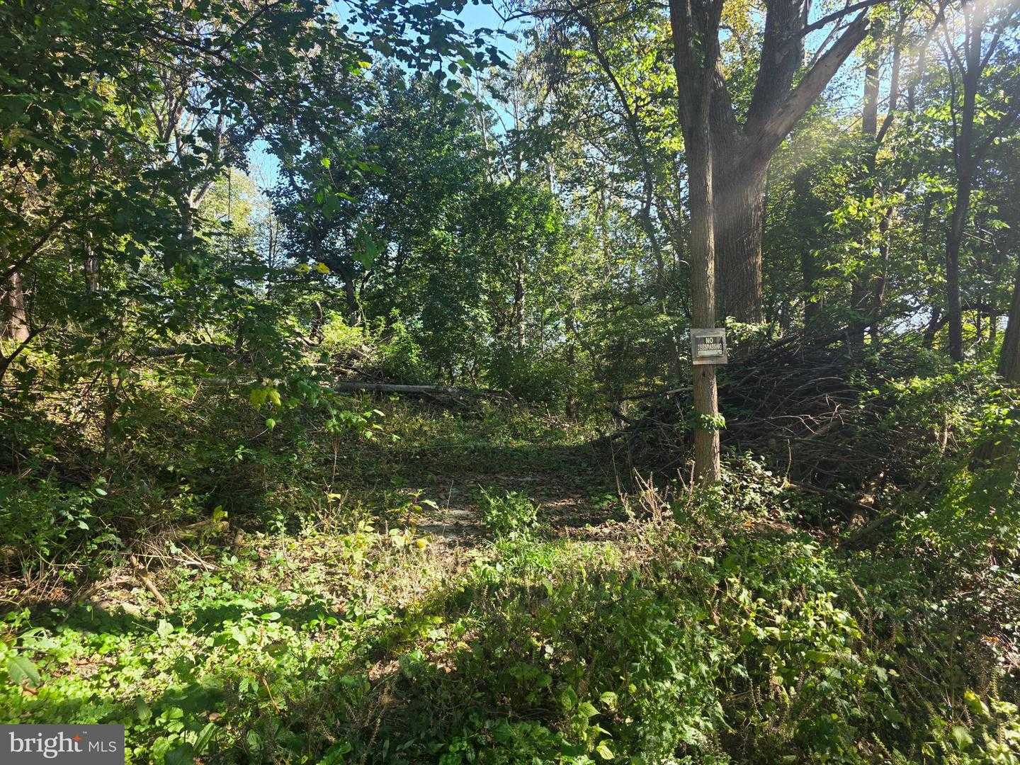 MARTIN ROAD Conowingo Maryland United States, for Sale, commercial, Bruno Tarquinii, Fairfax Realty Premier