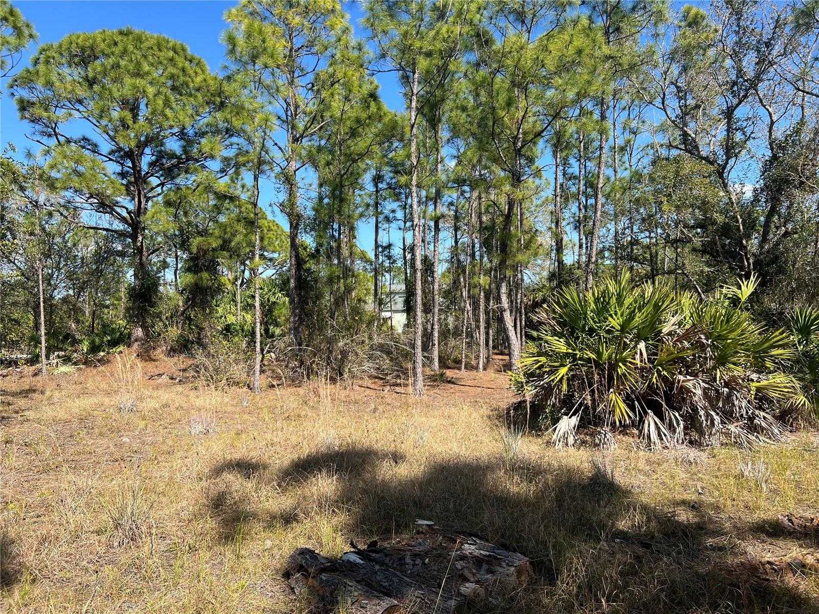 28019 TREADMILL DRIVE Punta Gorda Florida United States, for Sale, commercial,  , The Mount Dora Group 