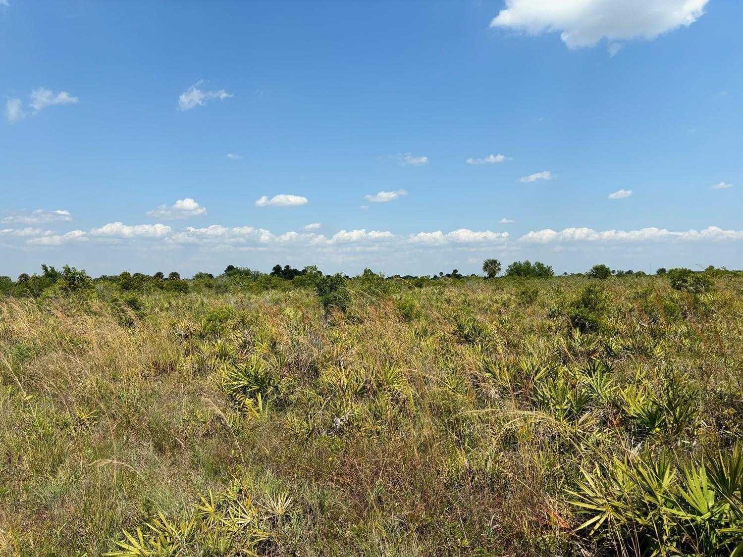 NW 318th Street Okeechobee Florida United States, for Sale, commercial,  , Phoenix Realtors LLC