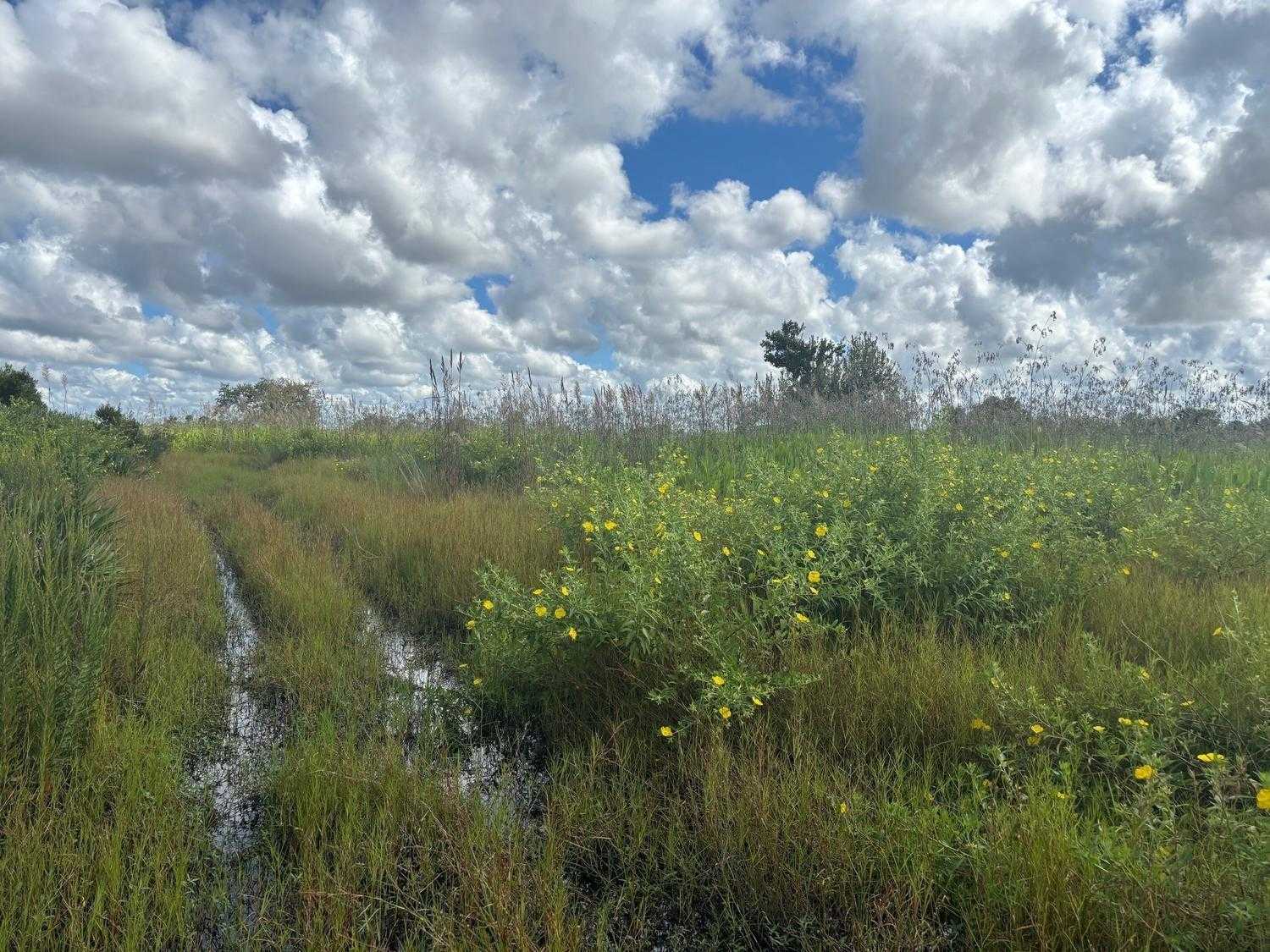 NW 316th Street Okeechobee Florida United States, for Sale, commercial,  , Phoenix Realtors LLC