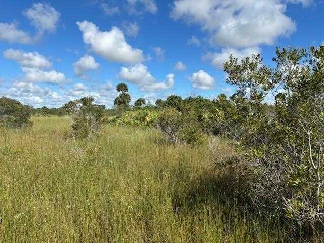 NW 310th Street Okeechobee Florida United States, for Sale, commercial,  , Phoenix Realtors LLC