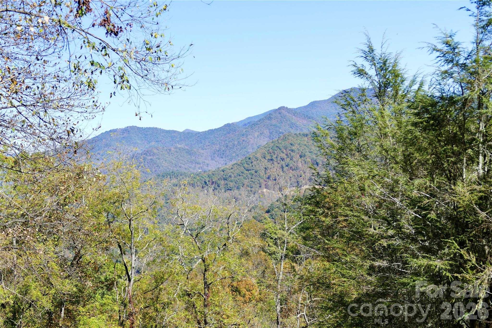 Multiflora Way APT 509 Waynesville North Carolina United States, for Sale, commercial, Jaci Reynolds, RE/MAX Executive