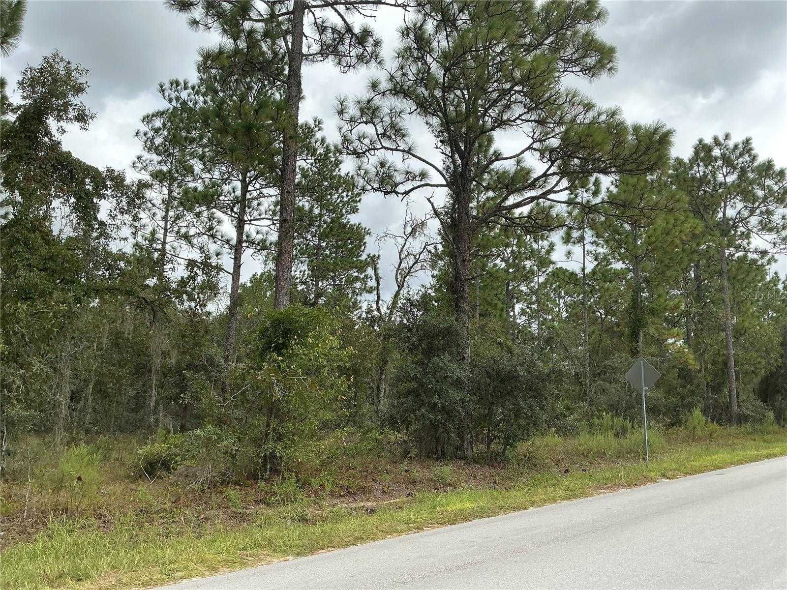 SW 85TH PLACE Ocala Florida United States, for Sale, commercial, Ibia Paradello, A-Z REALTY SERVICES, INC