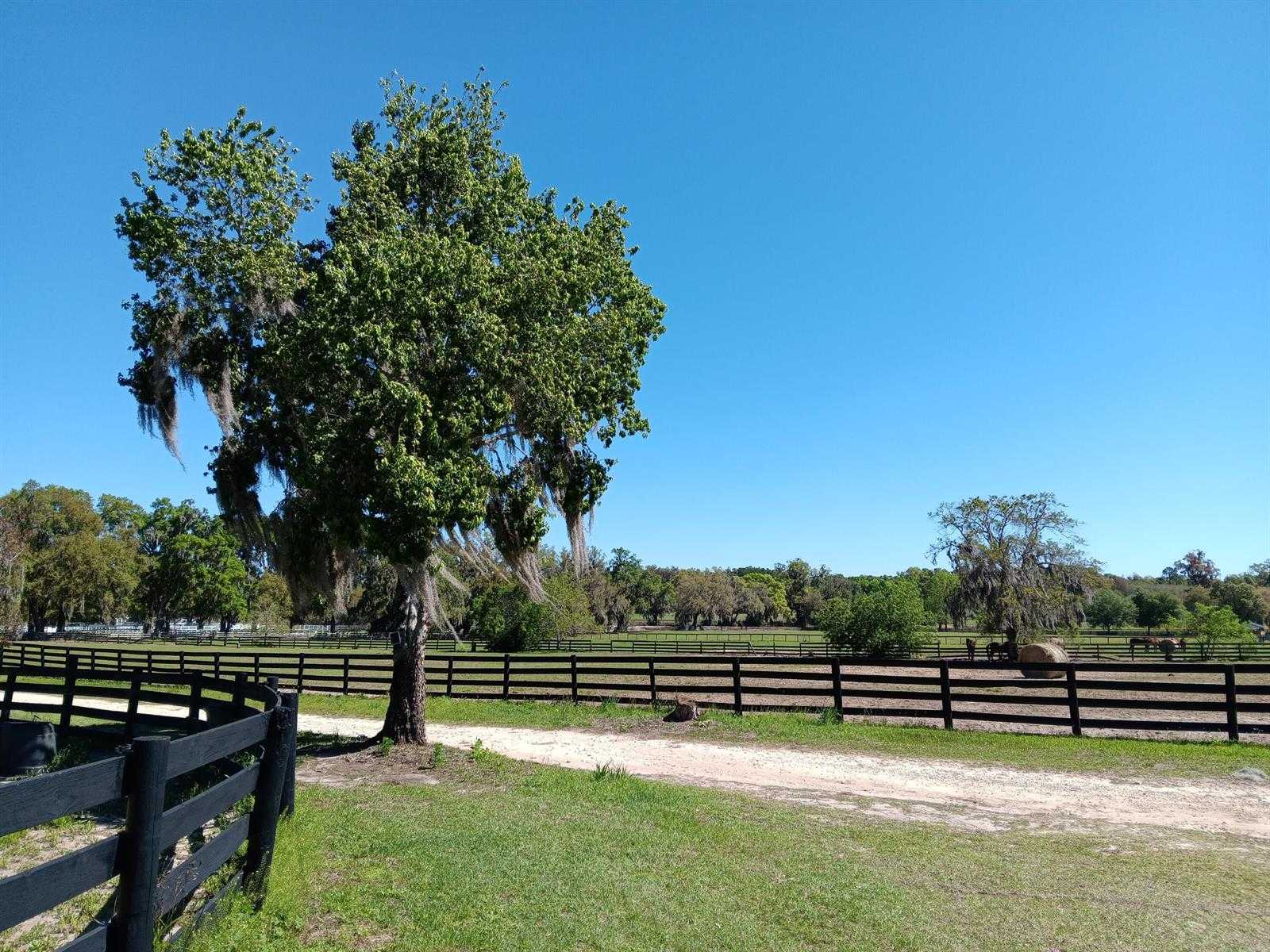 2630 NW 140th Street  Florida United States, for Sale, commercial,  , Phoenix Realtors LLC