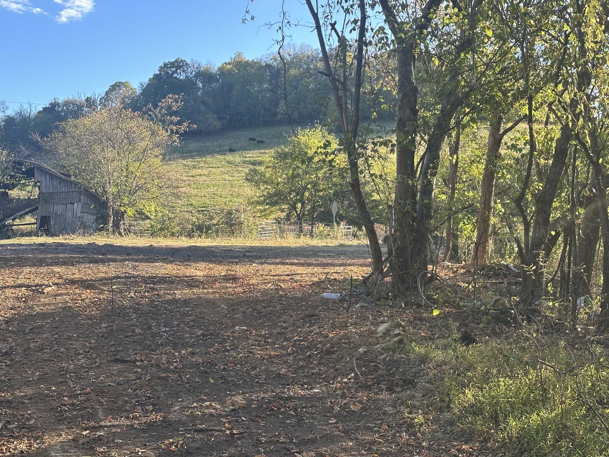 175 Little Salt Lick Rd Carthage Tennessee United States, for Sale, residential, Demo Agent, InCom Real Estate - New Demo Office