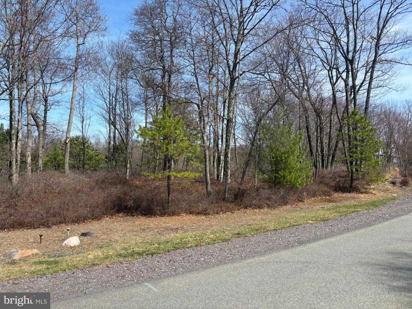 65 WILD PINE Pocono Pines Pennsylvania United States, for Sale, commercial, Bruno Tarquinii, Fairfax Realty Premier