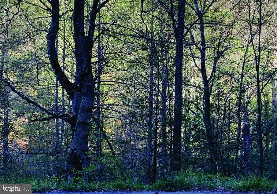 149 CABIN FORK 6.15AC Dante Virginia United States, for Sale, residential, Bruno Tarquinii, Fairfax Realty Premier