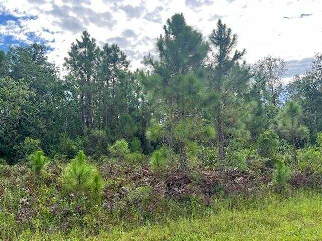 1131 Greenfield Street Lake Placid Florida United States, for Sale, commercial,  , Phoenix Realtors LLC