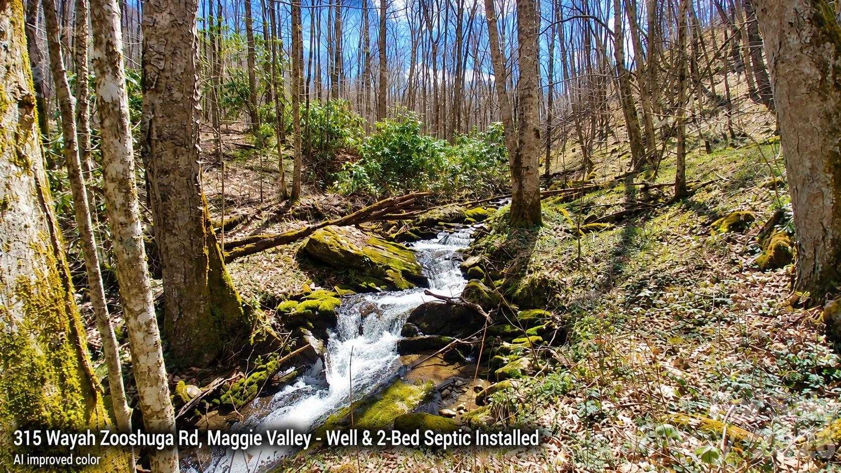 315 Wayah Zooshuga Road APT 28J Maggie Valley North Carolina United States, for Sale, commercial, Jaci Reynolds, RE/MAX Executive