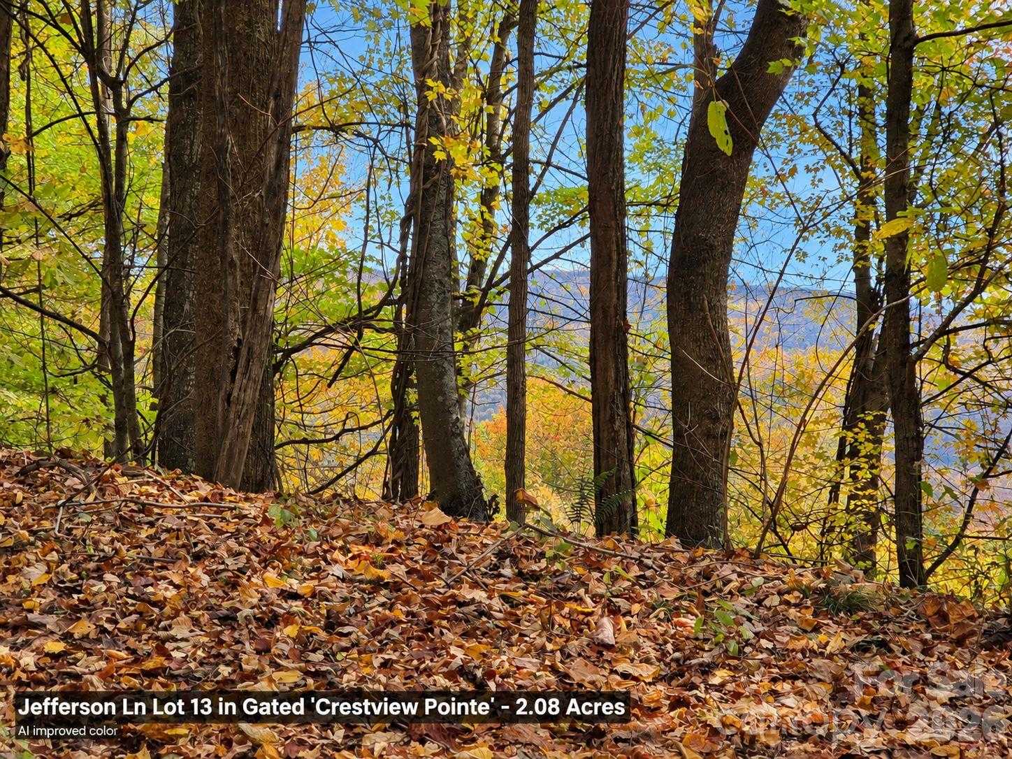 125 Jefferson Lane APT 13 Waynesville North Carolina United States, for Sale, commercial, Jaci Reynolds, RE/MAX Executive