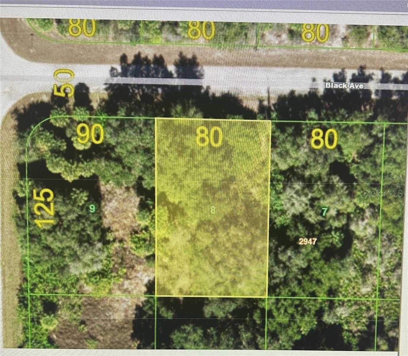 14431 BLACK AVENUE Port Charlotte Florida United States, for Sale, commercial,  , The Mount Dora Group 